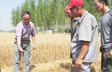 農(nóng)化服務(wù)跟不上缺少＊＊指導(dǎo)